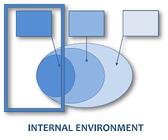 Internal Environment Analysis