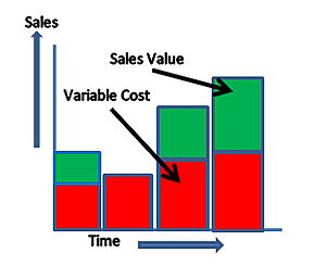 Variable Cost Model